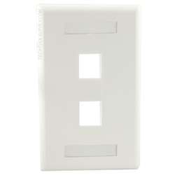 2 Port Wall Plate White - ID