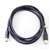 Hi-Quality Birdog USB 3.0 Repl PC Cable - 10' / Black