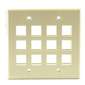 Dual 12 Port Wall Plate - Ivory