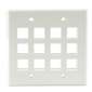 Dual 12 Port Wall Plate - White