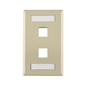 2 Port Wall Plate Ivory - ID