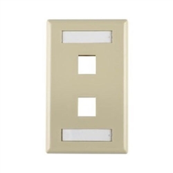 2 Port Wall Plate Ivory - ID
