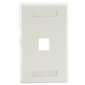 1 Port Wall Plate White - ID