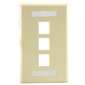 3 Port Wall Plate Ivory - ID