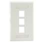 3 Port Wall Plate White - ID