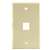 1 Port Wall Plate Ivory