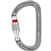 Petzl Am’D SCREW-LOCK Carabiner