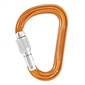 Petzl M38A-SL Attache Screw Lock Carabiner