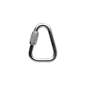 Petzl P11 Delta 10mm Screw Link Steel Triangle