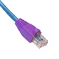 Platinum Tools RJ45 Boot (55mm) - Purple 25pc