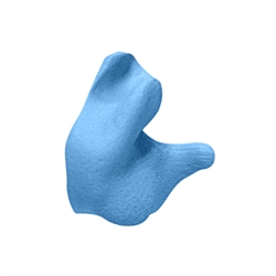 Radians Custom Molded Reusable Earplugs - Blue
