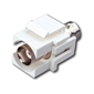 Vanco BNC Quickport Insert - White